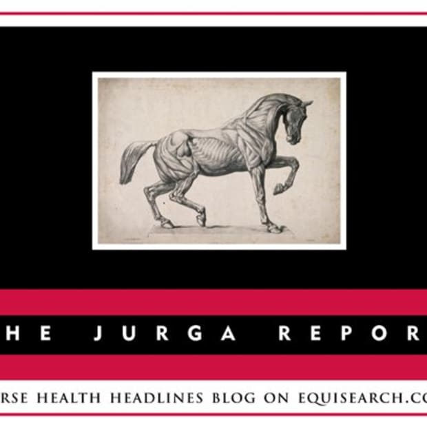 Special Report on White Paper Download: Role of Placenta Infections in Premature Foaling from AAEP promo image