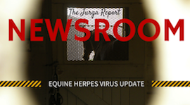 State by State: Equine Herpes Virus Around the USA This Week promo image