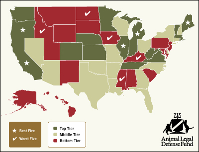 State of the States: Kentucky Still the Worst Place to Be an Animal According to State Laws; Illinois #1 promo image