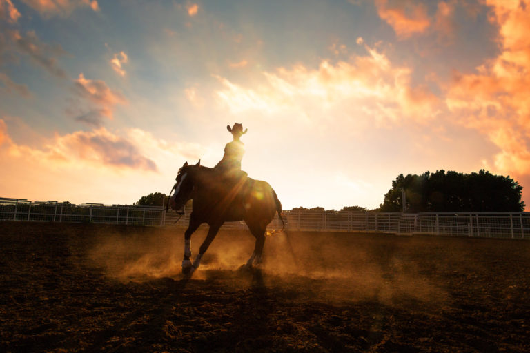 summer reining horse