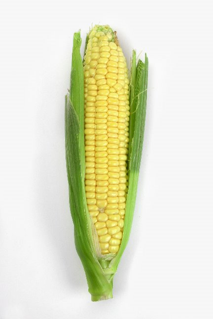 SXC-corn-494063_72821839-lr-772097