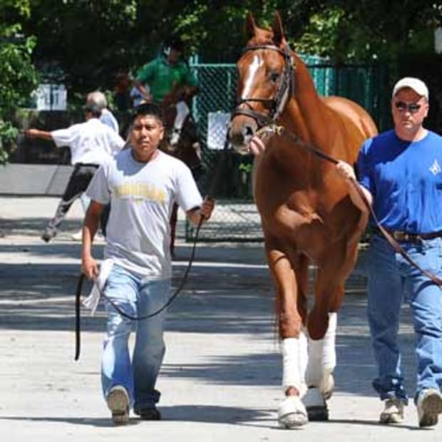 Tell the Big Horse Where to Go! Curlin Poll Lights Up the Internet! promo image