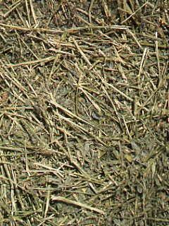 Ten Tips for Choosing Hay promo image
