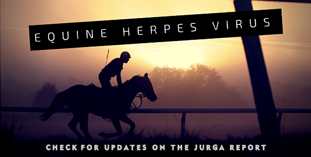 The Jurga Report equine herpes virus gallop big cc Visit Florida Jacqui Janetzko