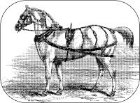 The Rag and Bone Man promo image