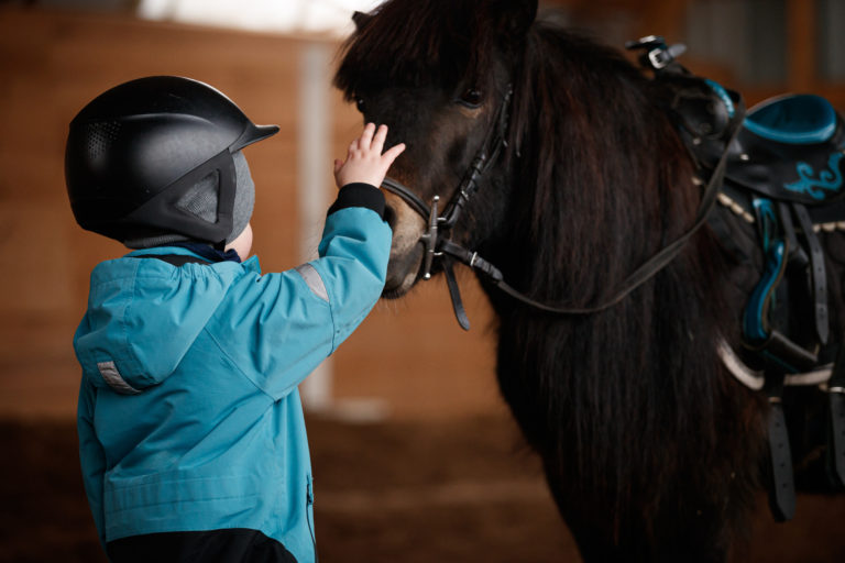theraputic riding horse