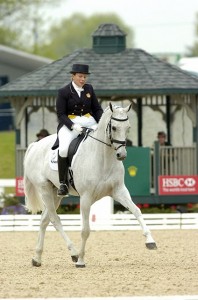 Thoroughbred Owners and Breeders Association's Rood and Riddle Sport Horse of the Year for 2009 Honor to Eventing Champion and Ex-Racehorse Courageous Comet promo image