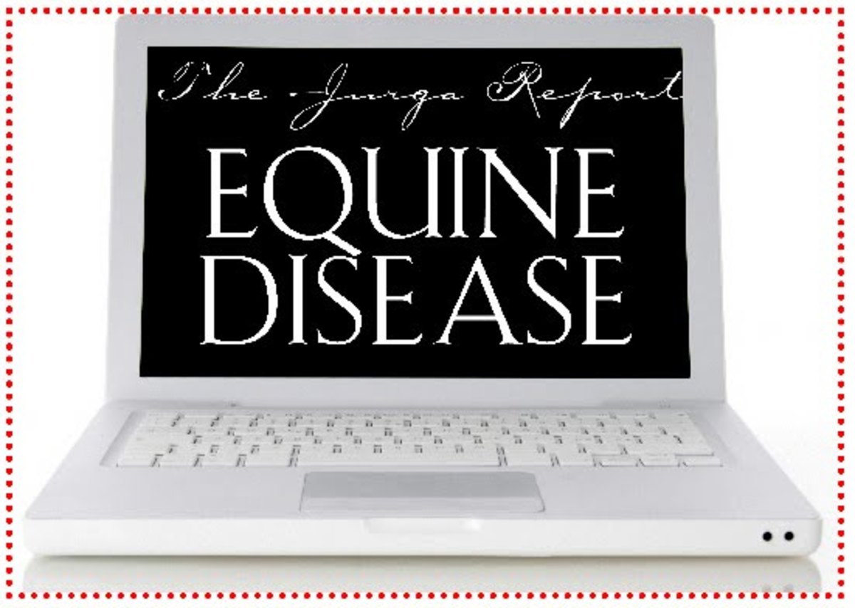 tjr-Eq-Disease-laptop-header-lr-774778