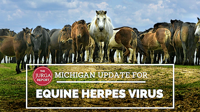 tjr equine herpes virus ehv michigan update ehv 040715 x640