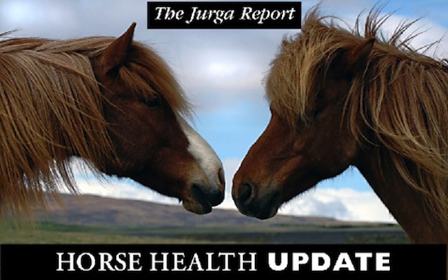 TJR HH Update ponies x640px lr
