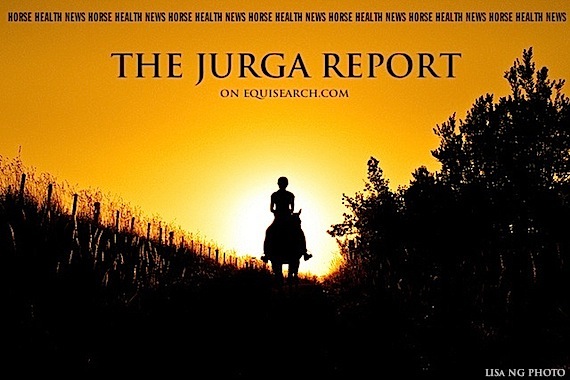 tjr-horse-health-news-graphic-gold-sky-041113-x560px