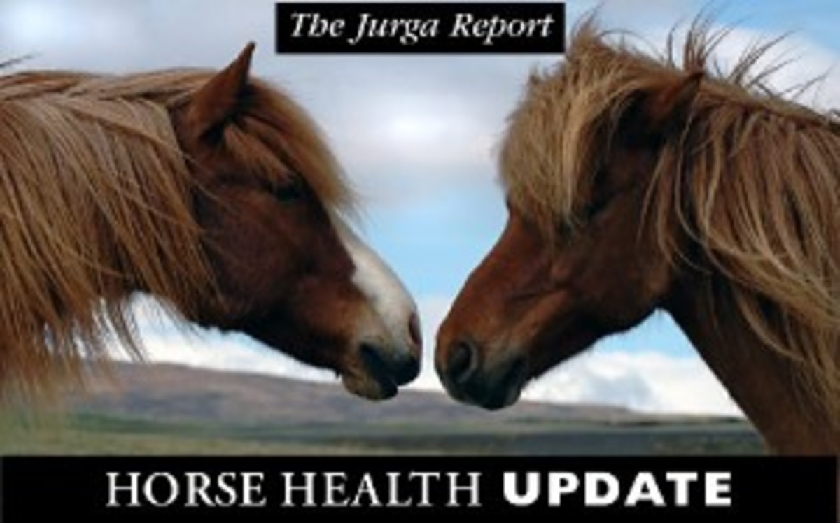 tjr-horse-health-update-ponies-lr-797289