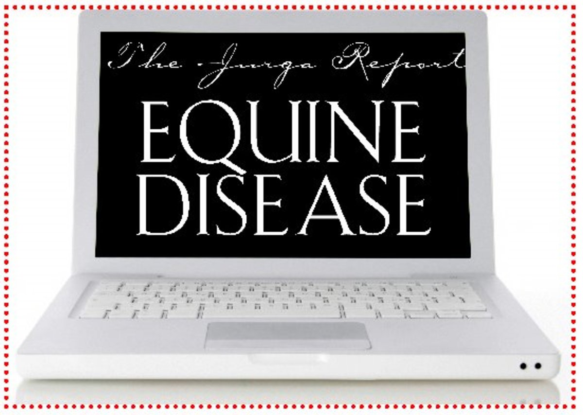 tjr-laptop-disease-header-lr-778159