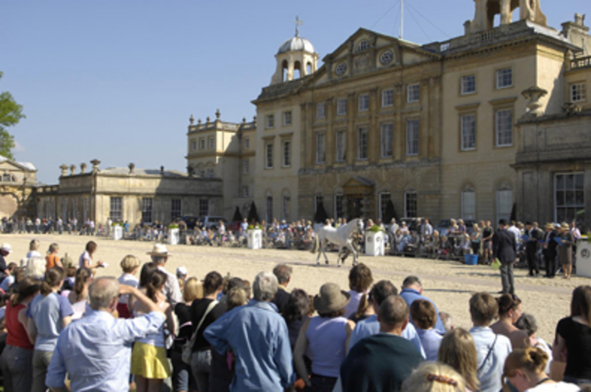 Tradition Continues at Badminton Horse Trials in England promo image