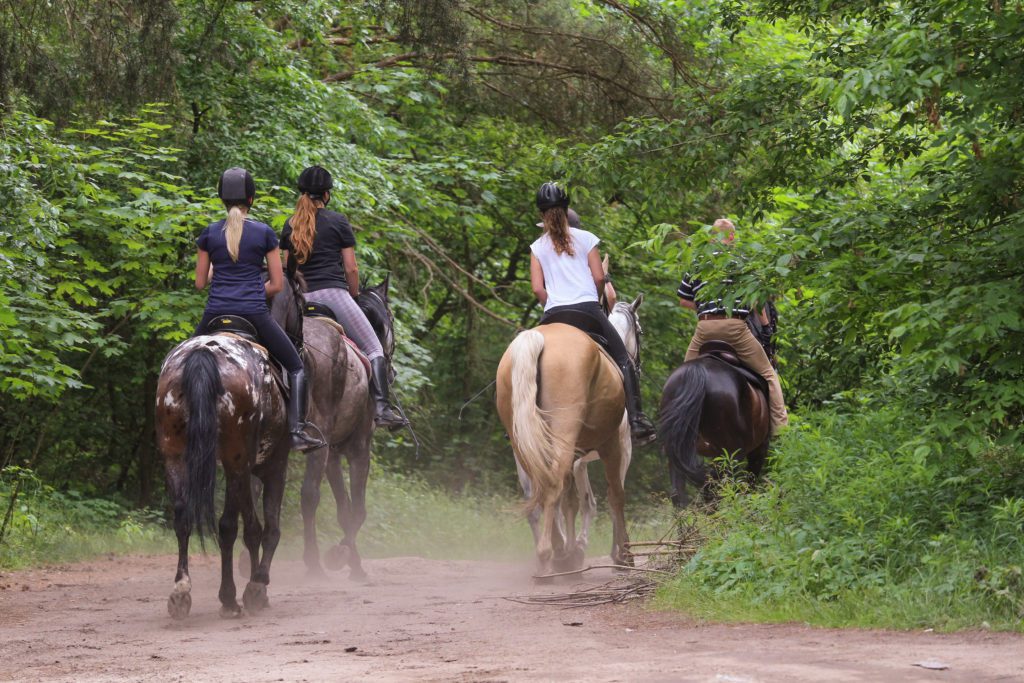 A group of riders headed into the woods.