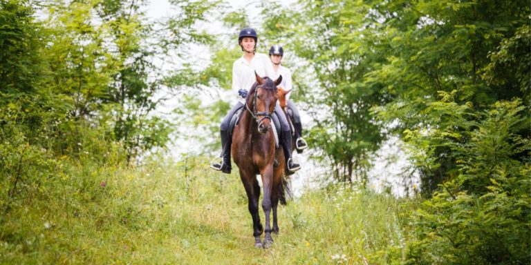 two-rider-woman-on-horses-going-down-from-the-hill-picture-id846068374
