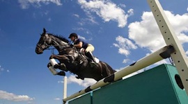 UC Davis Vet School Performance Horse Survey Needs Your Input promo image