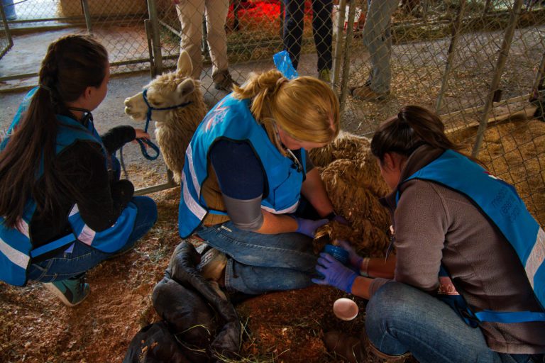 UCDavis emergency team