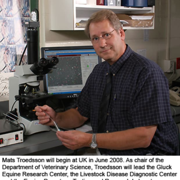 University of Kentucky Names Mats Troedsson Department of Veterinary Science Chair and Gluck Center Director promo image