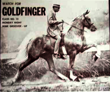 USDA Opts for Transparency, Begins Publicity on Animal Welfare and Horse Protection Act Violations promo image