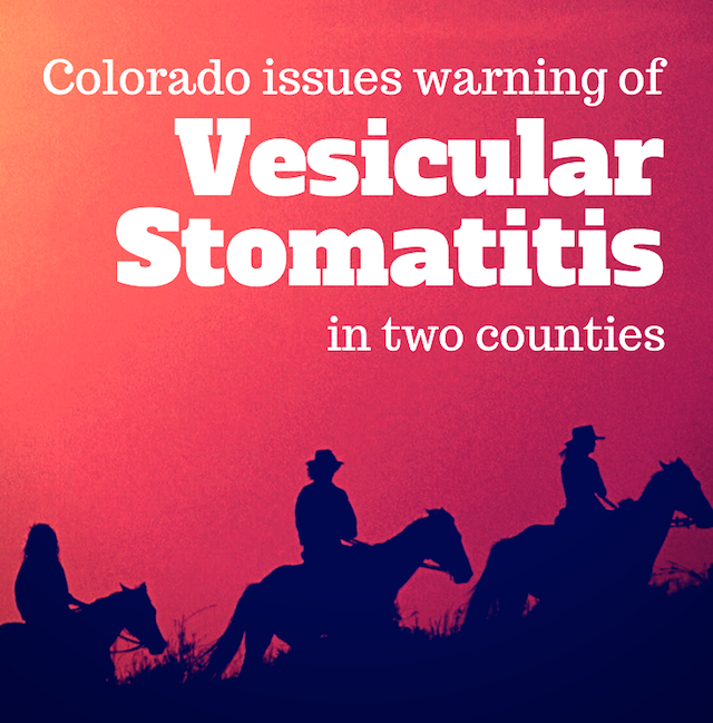 vesicular-stomatitis-colorado-2014-the-jurga-report