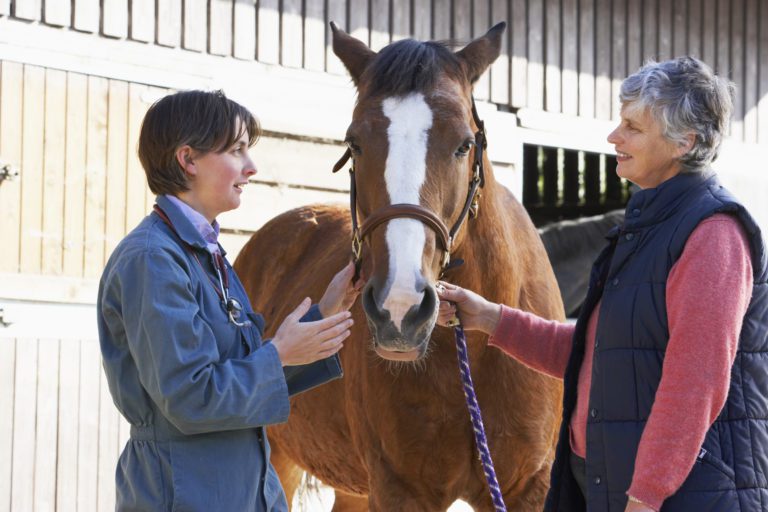 An owner and veterinarian standing with a horse during an exam