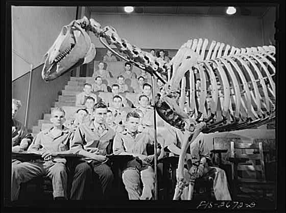 vet school students in anatomy class