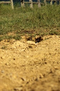 warehole