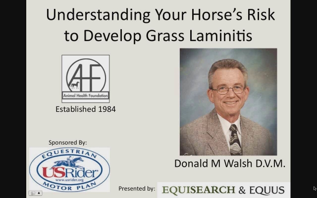 Webinar: Laminitis Lessons with Don Walsh, DVM promo image