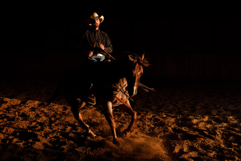 western-horse-joint-supplement