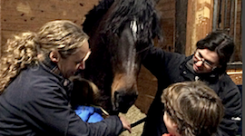What worries you? Owners search for horse health answers at Equine Affaire promo image