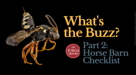 What's the Buzz? Part 2: Bees in the Barn and Pasture promo image