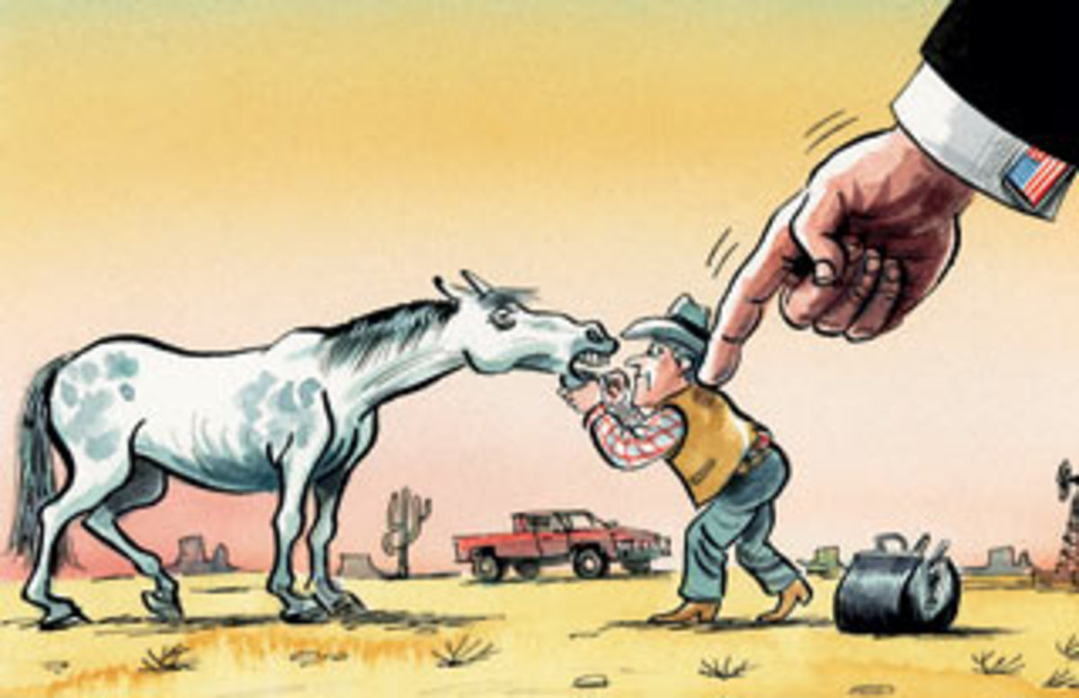 Who Floats Your Horse's Teeth? Texas Legislation Garners International Attention promo image