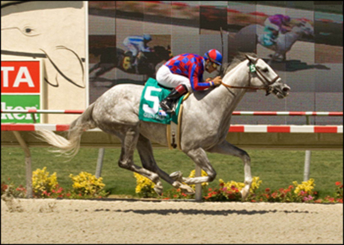 Win, Place or Cell: Record-setting California Racehorse is Stem Cell Poster Colt promo image