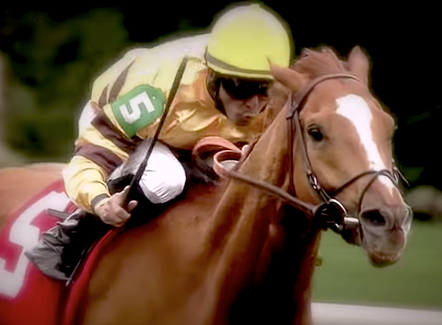 Wise Dan Screen Shot from video