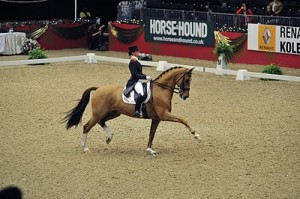 World Equestrian Games Insight: Why Was Jerich Parzival Disqualified? promo image