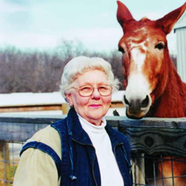 World's Wealthiest Mules at University of Missouri College of Veterinary Medicine promo image