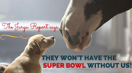 Yes! You'll See a New Budweiser Clydesdale Commercial During the 2015 Super Bowl promo image