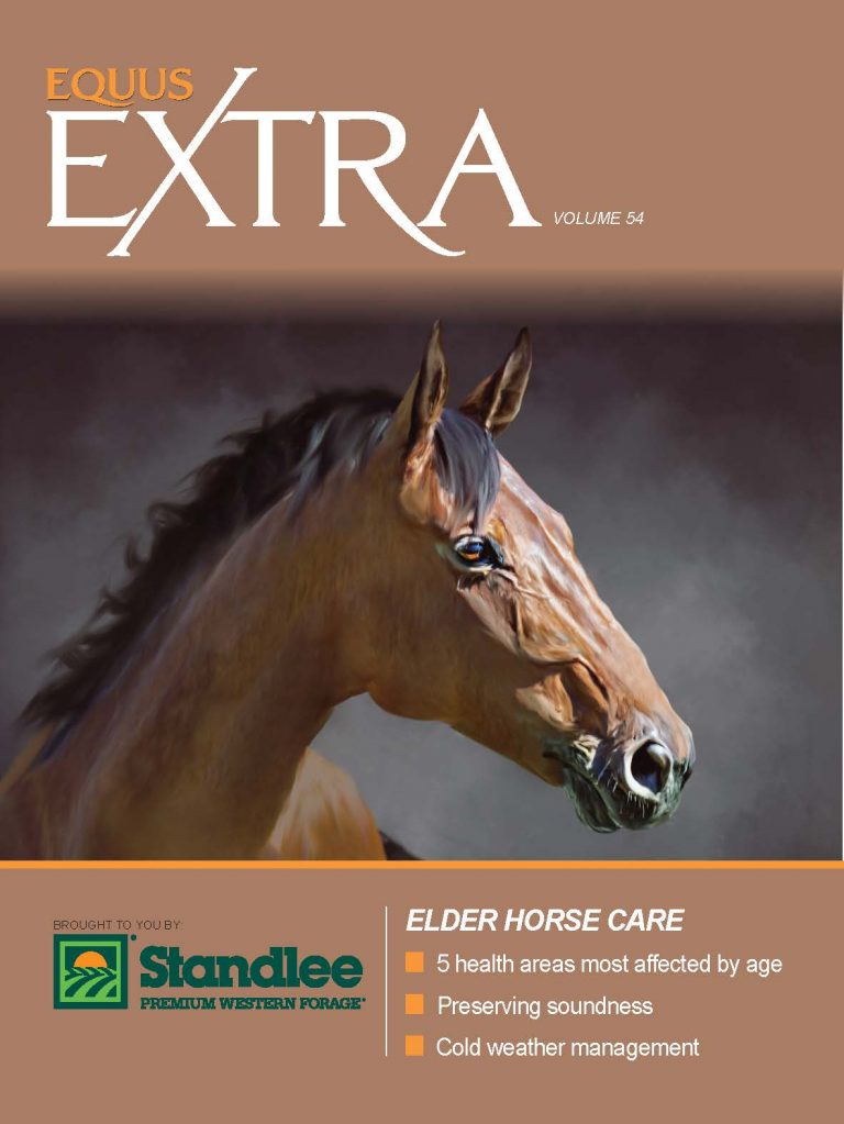 Cover of EQUUS Extra Volume 54, Elder Horse Care: 5 health areas most affected by age, preserving soundness, cold weather management