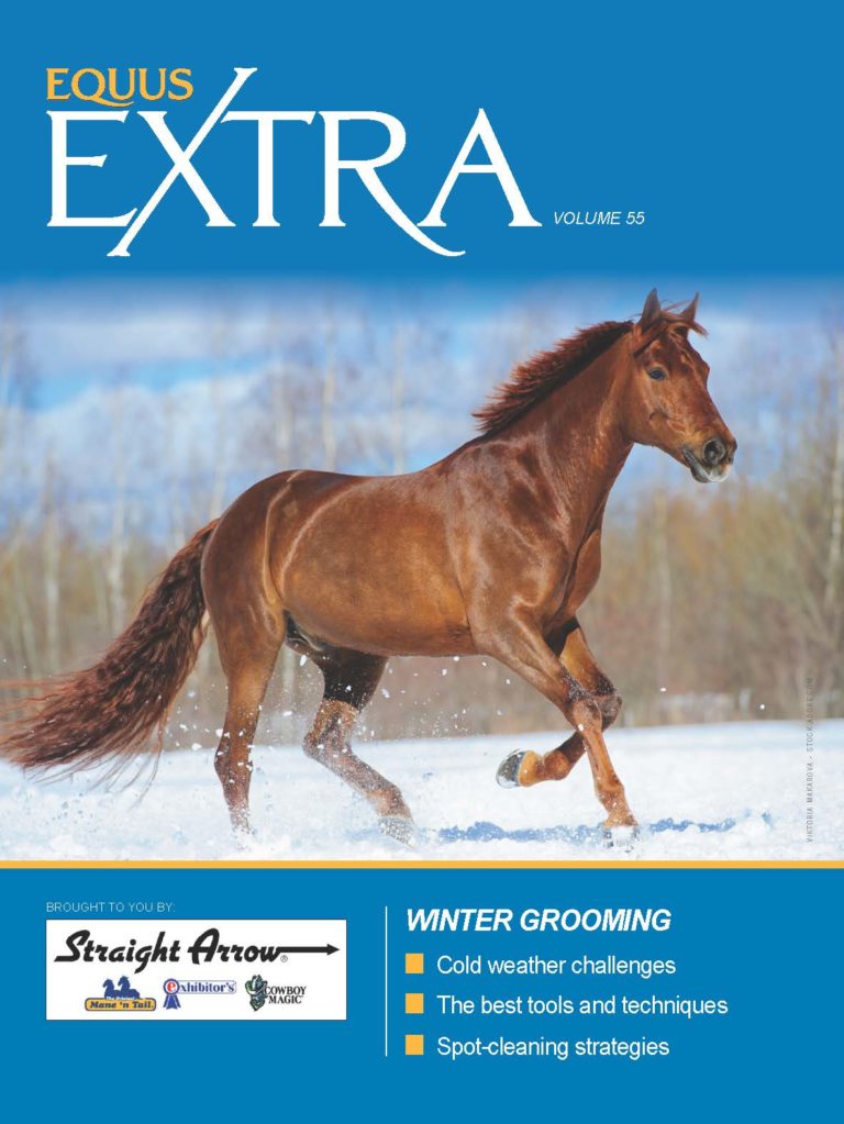 COVER EQUUS Extra Volume 55 Winter Grooming: Cold weather challenges, the best tools and techniques, spot-cleaning strategies