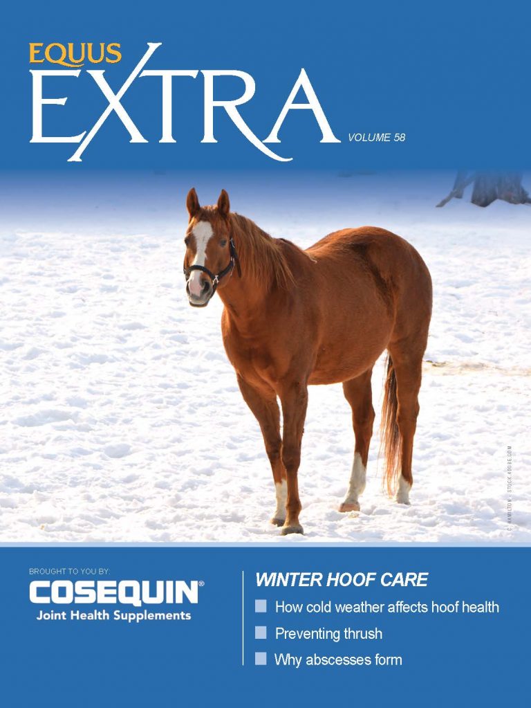 Cover of EQUUS Extra Vol. 58; Winter Hoof Care. How cold weather affects hoof health; preventing thrush; why abscesses form