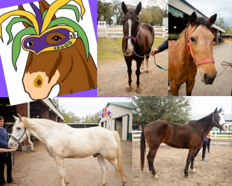 Collage of horses available for adoption, with cartoon of horse wearing mardi gras mask