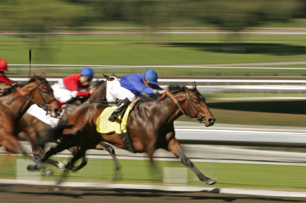 Three racehorses head toward the wire