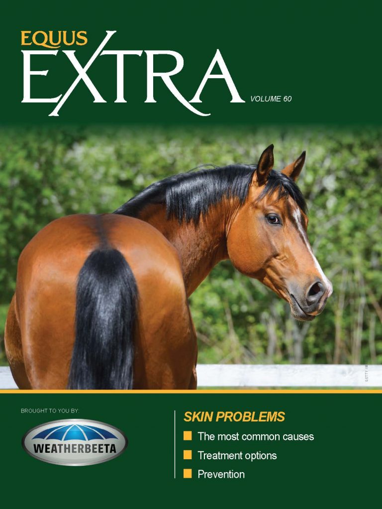 COVER EQ_EXTRA-VOL60_fnl 1
