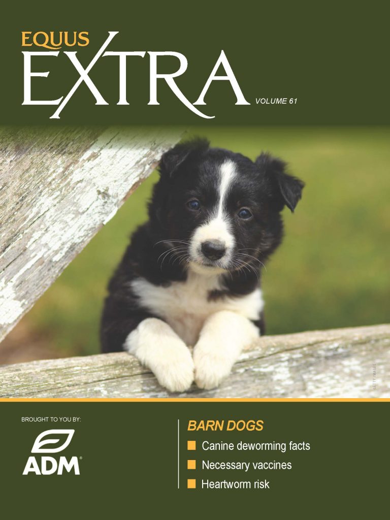 COVER EQ_EXTRA-VOL61 BARN DOG_fnl_Page_01