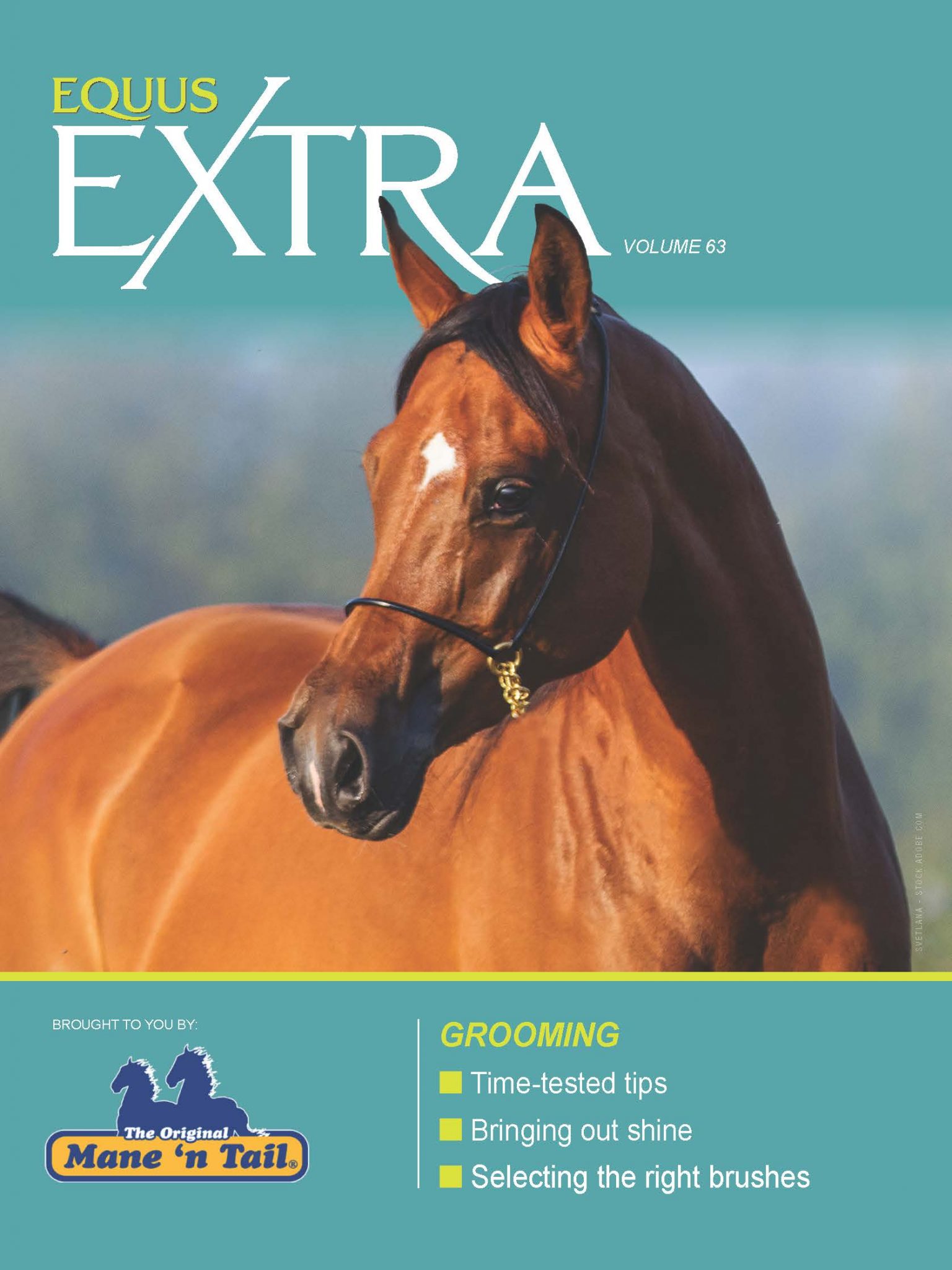COVER EQ_EXTRA-VOL63 Grooming_fnl_Page_01
