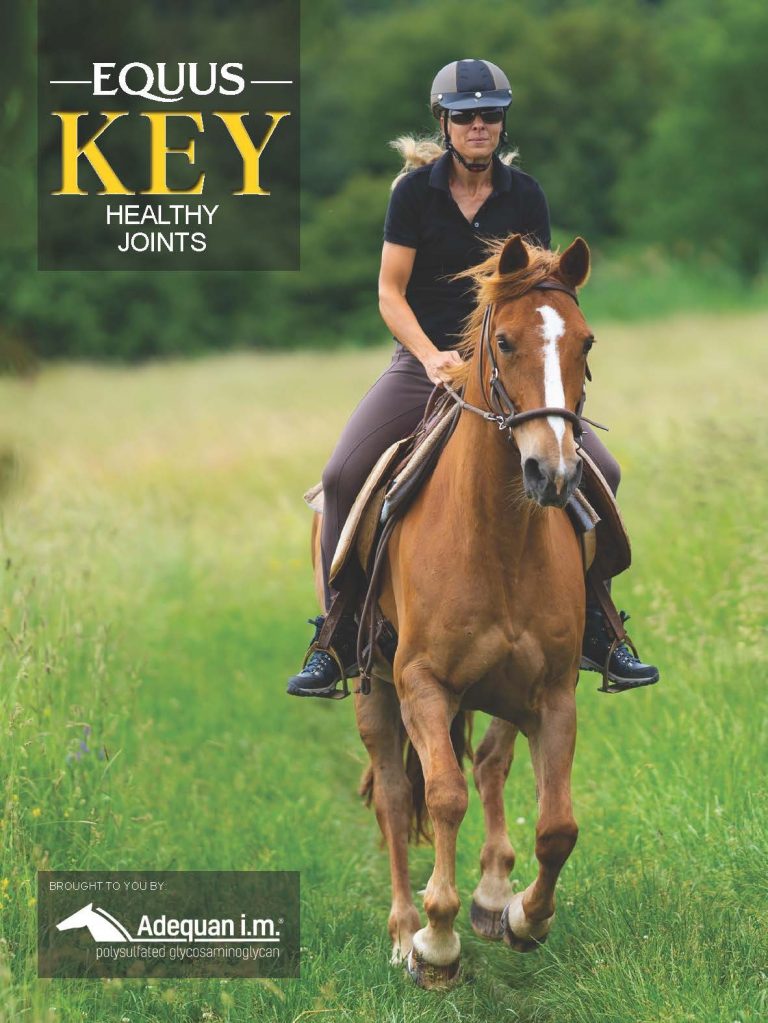 COVER KEY 3—joint friendly