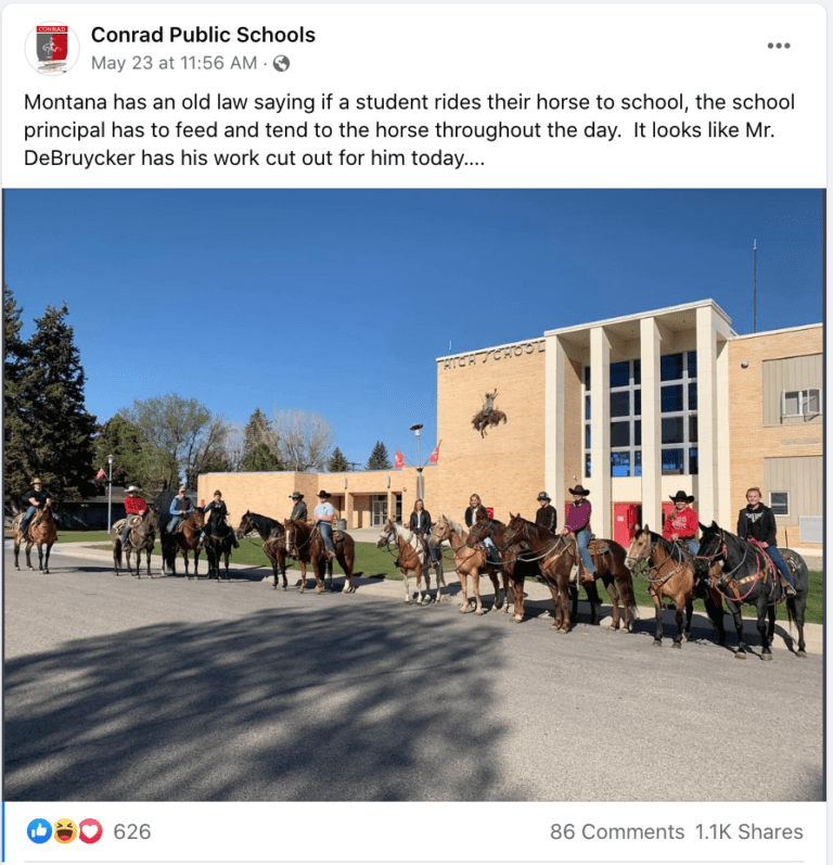 Facebook post showing students riding horses to school