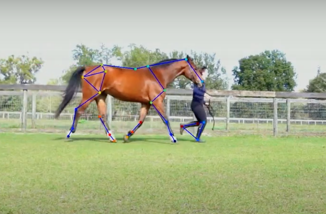 Still shot from video of gait analysis