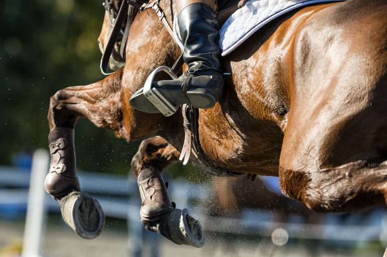 Detail shot of a Show Jumper horse in Mid Flight